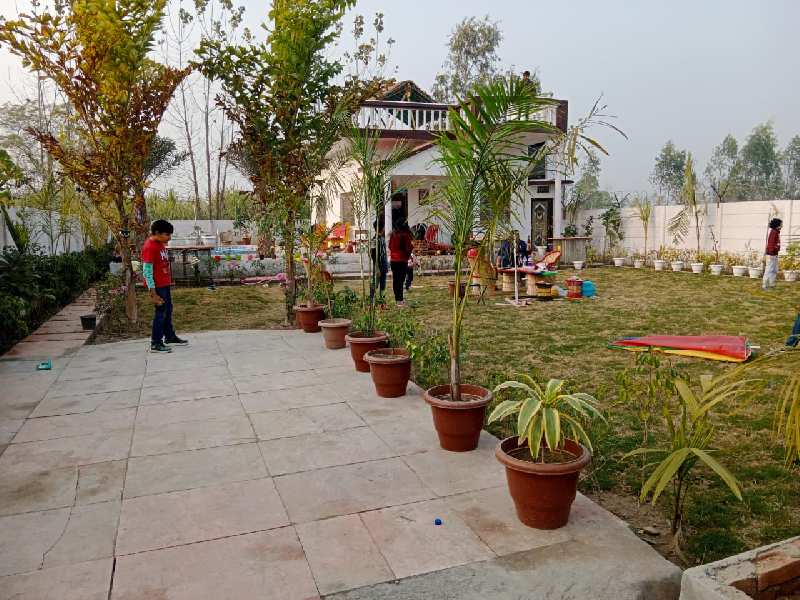 1000 Sq. Yards Farm House for Sale in Garhmukteshwar, Hapur (REI1061683)