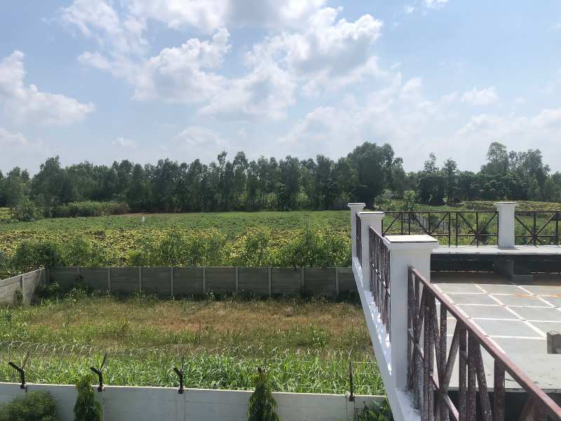 Farm Land for Sale in Garhmukteshwar, Hapur (REI1102537)