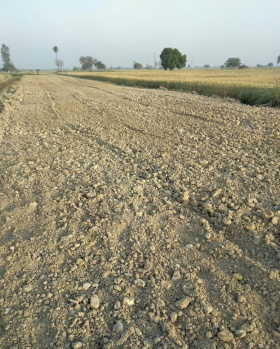  Agricultural Land for Sale in Sunrakh Bangar, Vrindavan