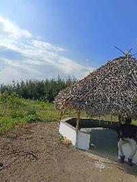  Agricultural Land for Sale in Acharapakkam, Chengalpattu