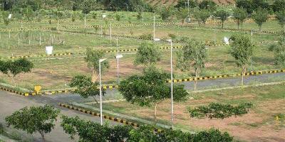  Residential Plot for Sale in Sushant Lok Phase II, Gurgaon