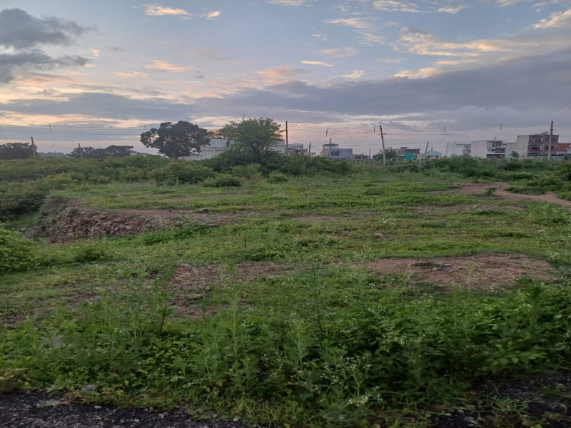  Residential Plot 390 Sq. Yards for Sale in Sector 30, Pinjore, Panchkula