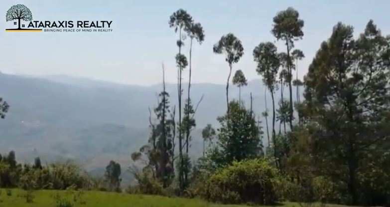 Agricultural Land 200 Acre for Sale in Kodaikanal, Dindigul