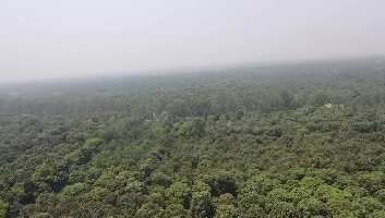 3 BHK Farm House for Sale in Sohna, Gurgaon