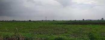 Agricultural Land 10 Acre for Sale in Navipet, Nizamabad
