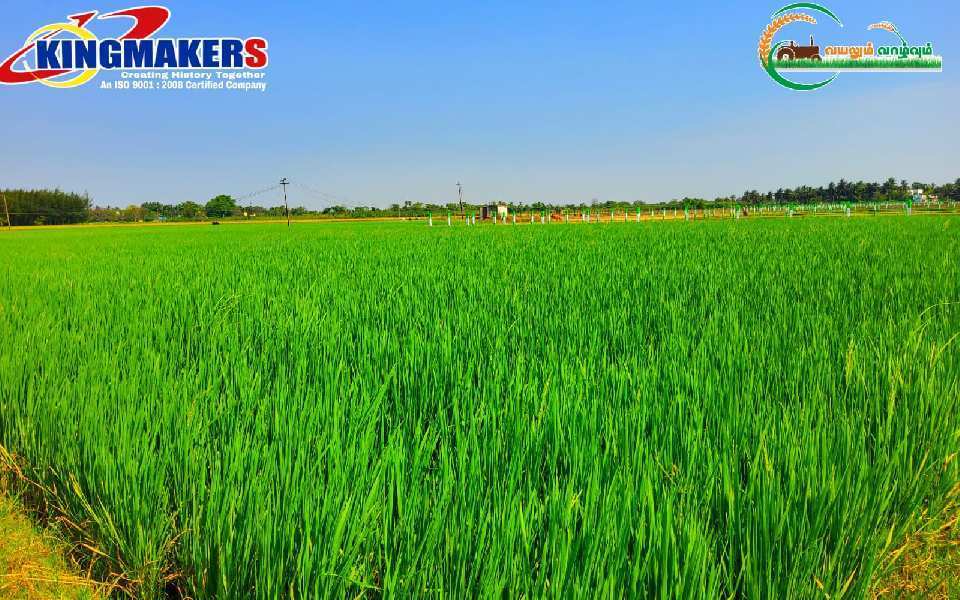 1 RK Farm House 10000 Sq.ft. for Sale in Attur, Salem