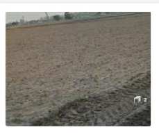  Agricultural Land for Sale in Dhuri, Sangrur