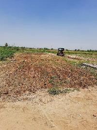  Agricultural Land for Sale in Ballabhgarh, Faridabad