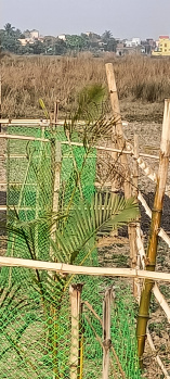  Residential Plot for Sale in Benachity, Durgapur