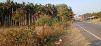  Agricultural Land for Sale in Arkalgud, Hassan
