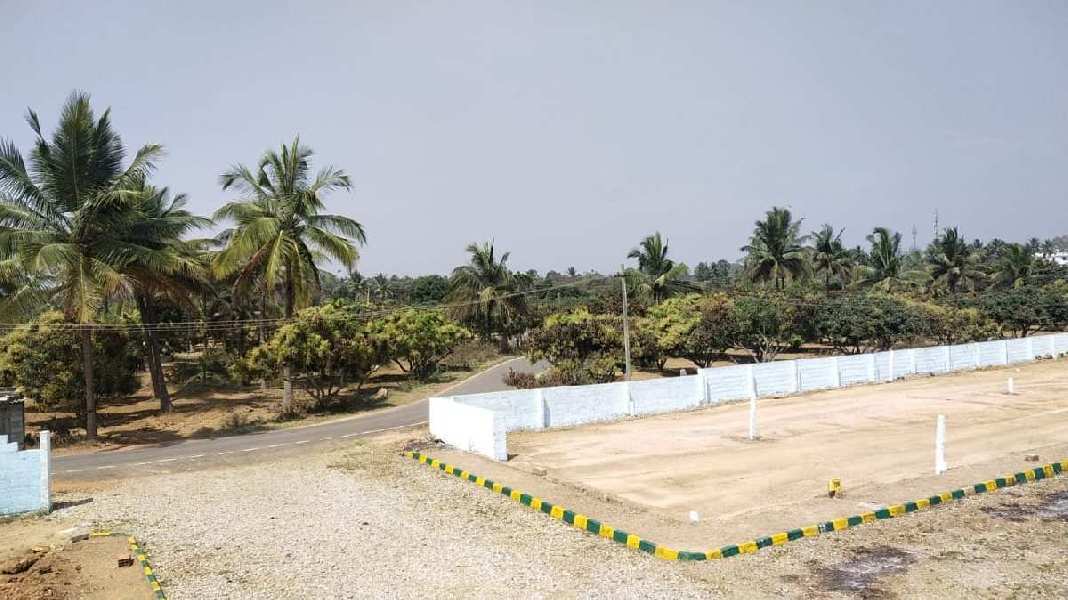 Agricultural Land 1200 Sq.ft. for Sale in Chintamani Road, Bangalore