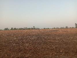  Agricultural Land for Sale in Telhara, Akola