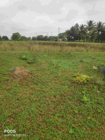  Agricultural Land for Sale in Nanjangud, Mysore