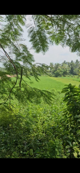  30 Katha Residential Plot for Sale in Shyampur, Howrah