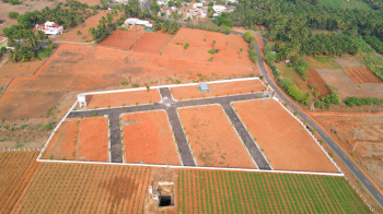  Residential Plot for Sale in Gobichettipalayam, Erode