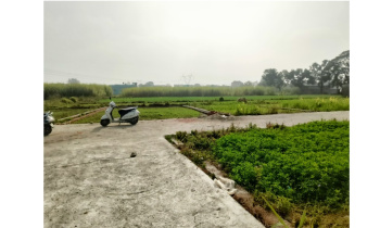  Residential Plot for Sale in Resham Majri, Dehradun