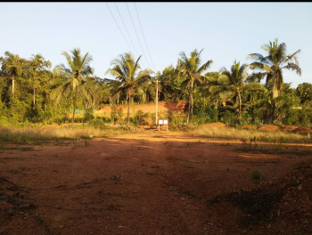  Residential Plot for Sale in Ujire, Mangalore