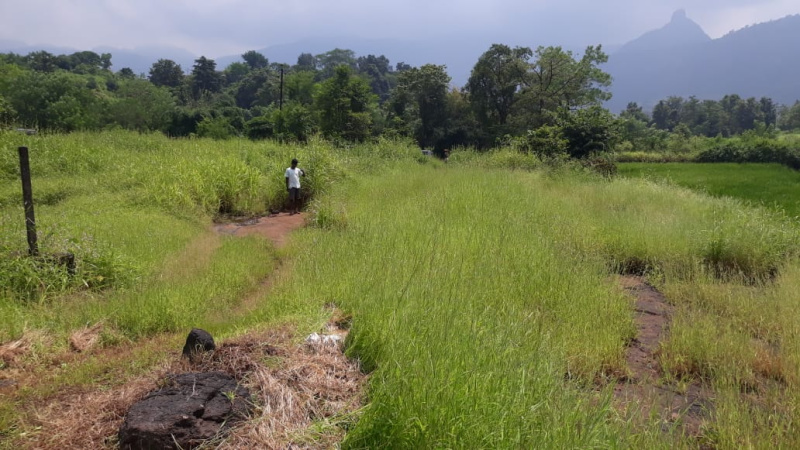  Agricultural Land 80000 Sq.ft. for Sale in Karjat, Mumbai