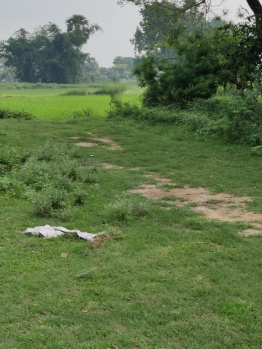  Commercial Land for Sale in Bhabua, Kaimur