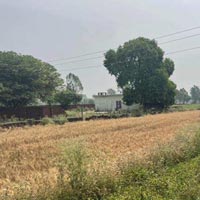  Agricultural Land for Sale in Pratappur, Kashipur