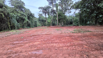  Residential Plot for Sale in Salvador Do Mundo, Bardez, Goa