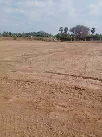  Agricultural Land for Sale in Perundurai, Erode