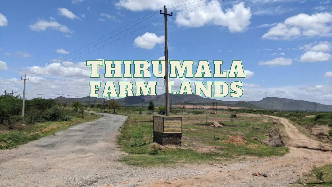  Agricultural Land 1200 Sq.ft. for Sale in Cowl Bazaar, Bellary