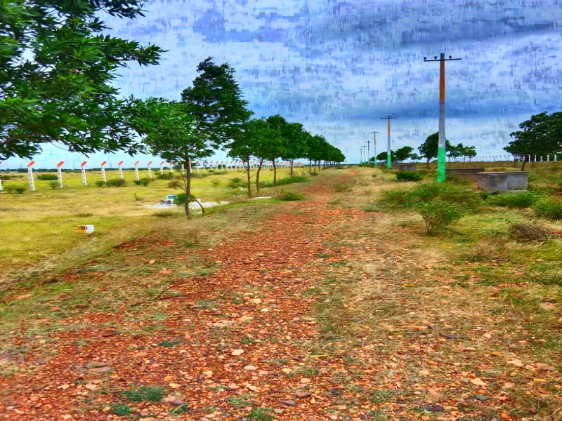  Residential Plot 600 Sq.ft. for Sale in Ballari, Bellary
