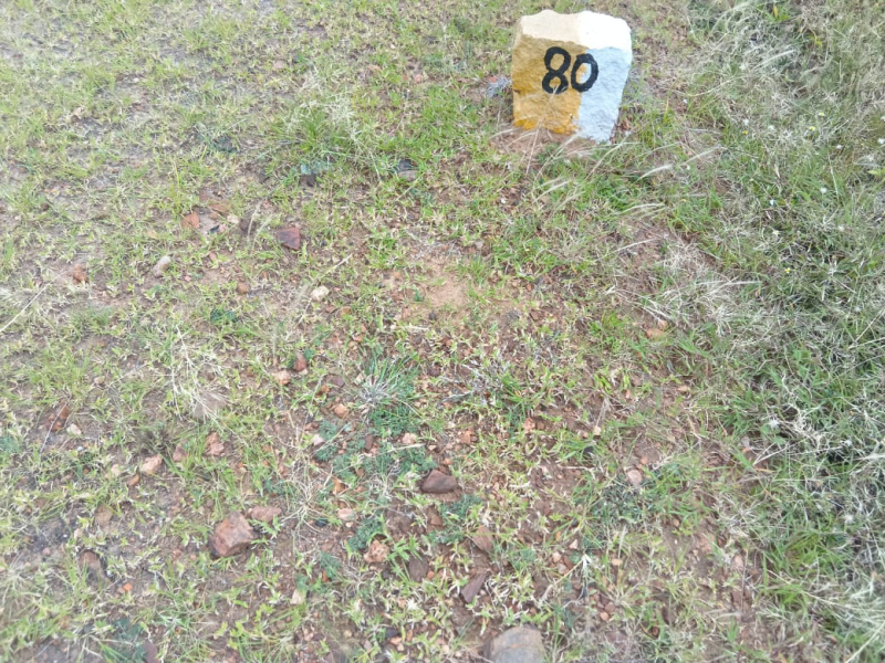  Residential Plot 600 Sq.ft. for Sale in Ballari, Bellary