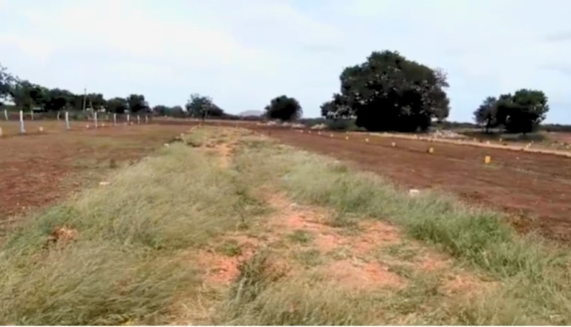  Residential Plot 600 Sq.ft. for Sale in Ballari, Bellary