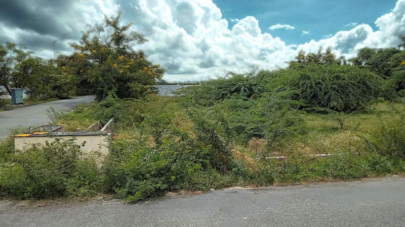  Residential Plot 2500 Sq.ft. for Sale in Ballari, Bellary