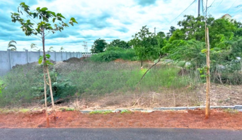  1372 Sq.ft. Residential Plot for Sale in Ballari, Bellary