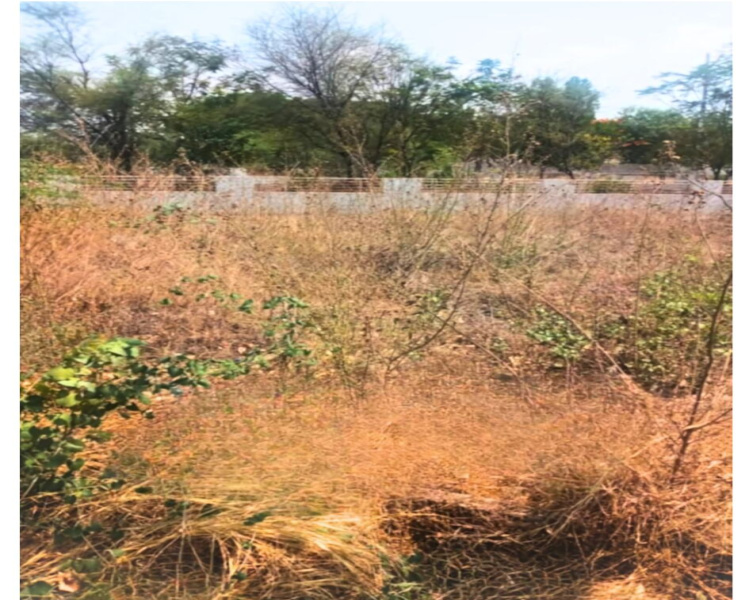  Residential Plot 1200 Sq.ft. for Sale in Ballari, Bellary
