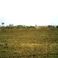  Commercial Land for Sale in Nainpur, Mandla