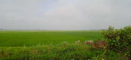  Agricultural Land for Sale in Sector 108 Chandigarh