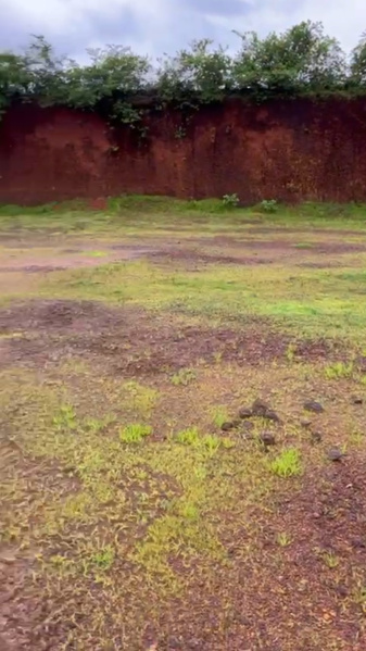 12 Guntha Residential Plot for Sale in Murdeshwar, Uttara Kannada