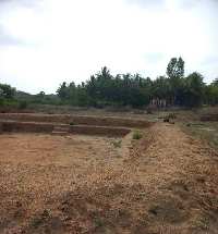  Agricultural Land for Sale in Balakrishnapuram, Dindigul