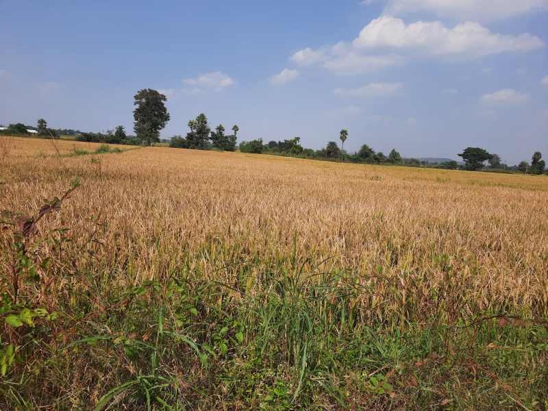  Agricultural Land 2 Acre for Sale in Lachapet, Kamareddy