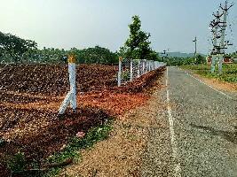  Agricultural Land for Rent in Tenkasi, Tirunelveli