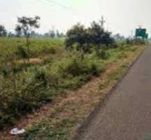  Agricultural Land for Sale in Pardi, Nagpur