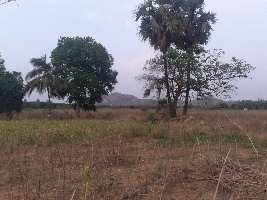  Agricultural Land for Sale in Suryapet, Nalgonda