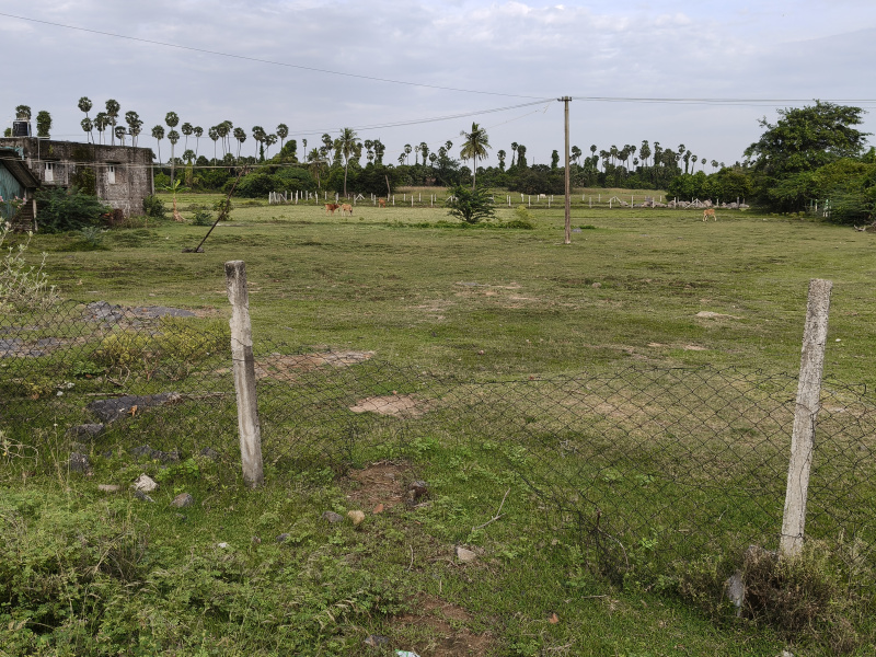  Agricultural Land 1 Acre for Sale in Salavakkam, Kanchipuram