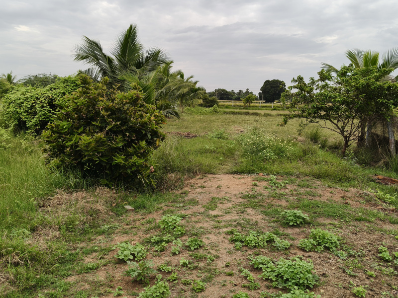  Agricultural Land 1 Acre for Sale in Maiyur, Chengalpattu
