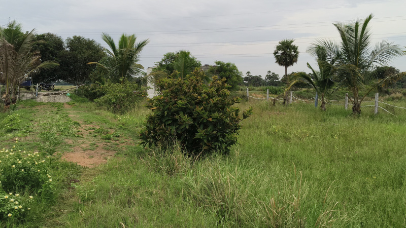  1 Acre Agricultural/Farm Land for Sale in Maiyur, Chengalpattu