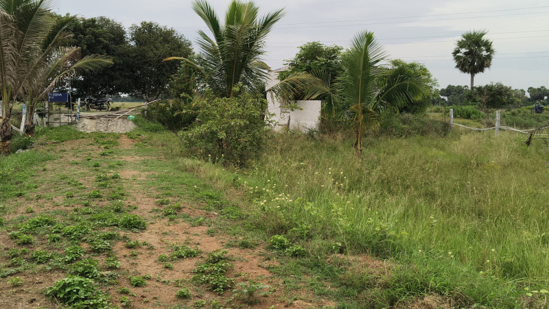  113 Cent Agricultural/Farm Land for Sale in Maduranthakam, Chengalpattu