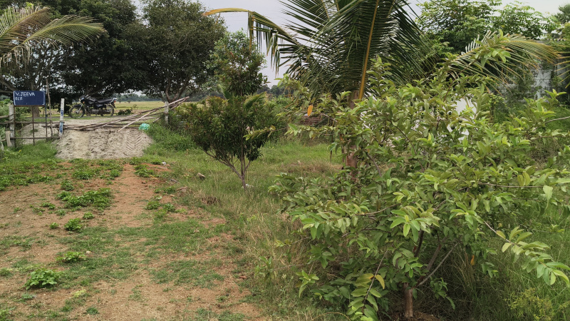  113 Cent Agricultural/Farm Land for Sale in Maduranthakam, Chengalpattu