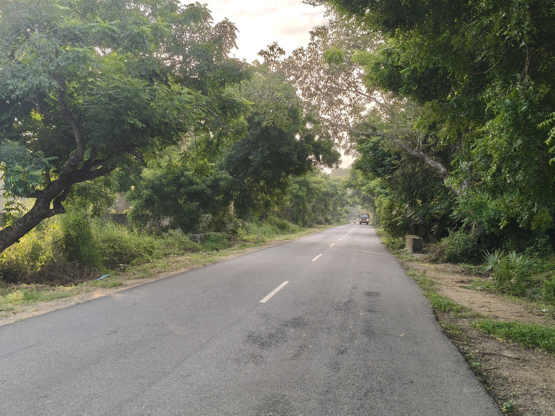  15 Acre Agricultural/Farm Land for Sale in Maduranthakam, Chengalpattu