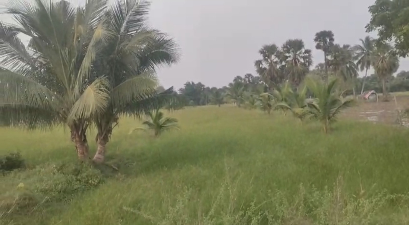  1 Acre Agricultural/Farm Land for Sale in Maduranthakam, Chengalpattu