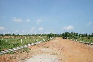  Commercial Land for Sale in Pusapatirega Mandal, Vizianagaram