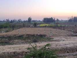  Industrial Land for Sale in Sitapur Road, Lucknow